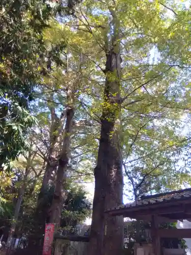 小平神明宮(東京都)