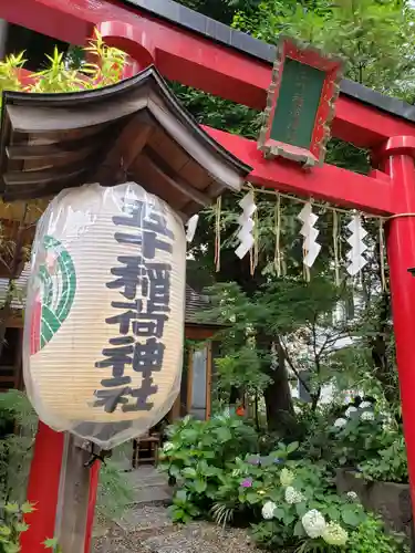 五十稲荷神社(栄寿稲荷神社)の鳥居