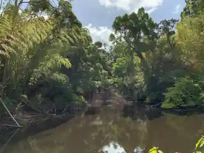熊野神社の周辺