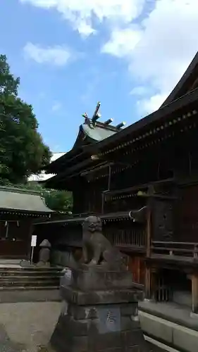 赤羽八幡神社の狛犬