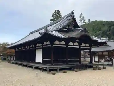 金剛寺(大阪府)