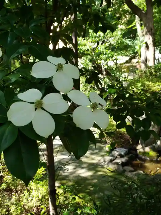 熊野神社の自然