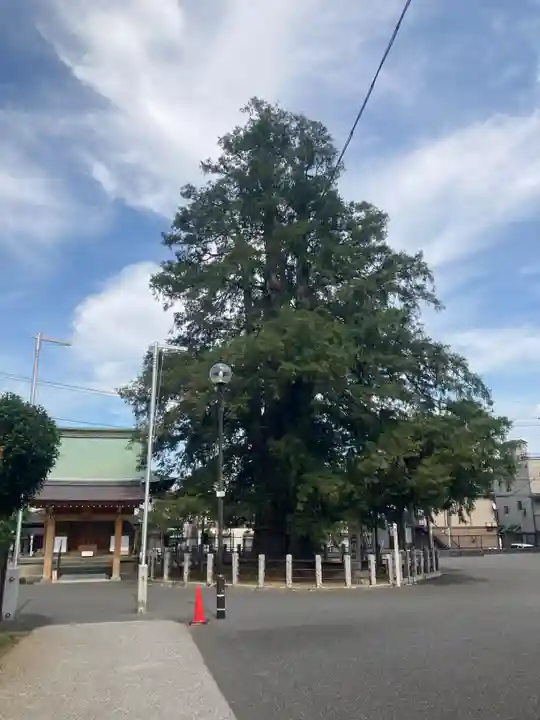 妙行寺(埼玉県)