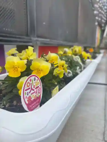 聖光寺(福岡県)