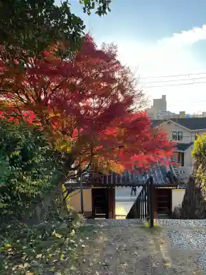 橋寺 放生院(京都府)