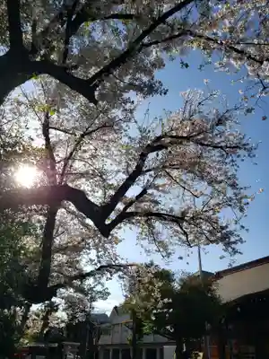 本郷氷川神社(東京都)