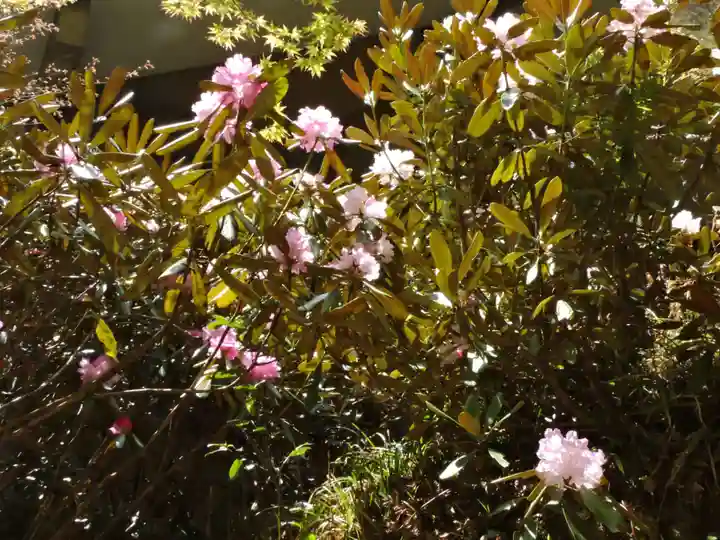 横蔵寺(岐阜県)