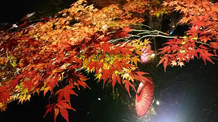 間々田八幡宮の自然