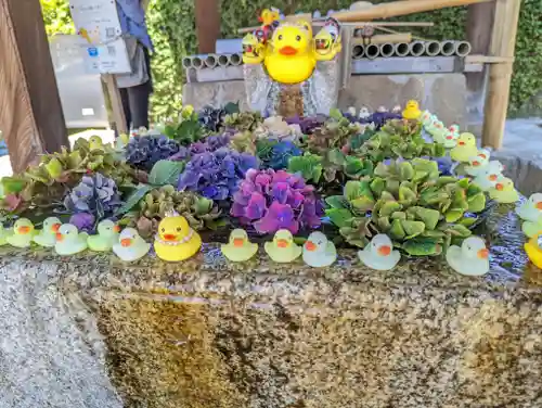 くろ谷 金戒光明寺(京都府)