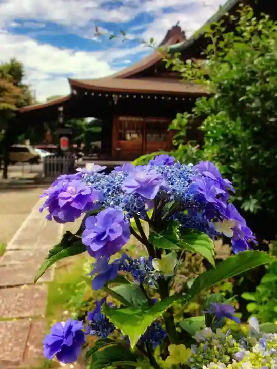 本郷氷川神社(東京都)