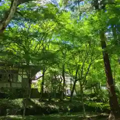 大洞院の建物その他