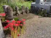 正福寺(神奈川県)