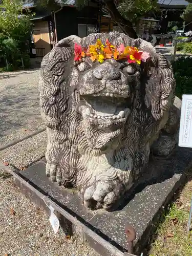 京都乃木神社の狛犬
