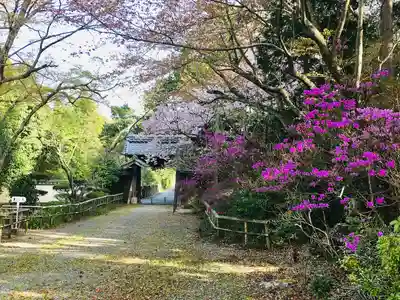 円福寺(三重県)