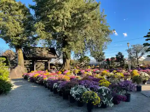 総世寺(神奈川県)