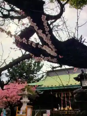 新宿下落合氷川神社(東京都)