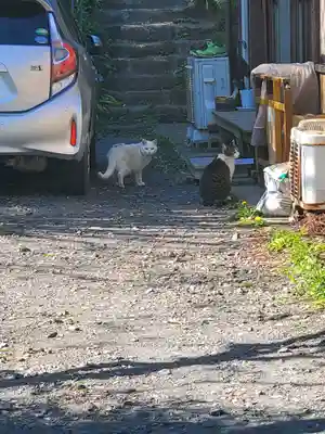 潮音寺(栃木県)