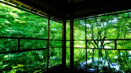 光明寺瑠璃光院(京都府)