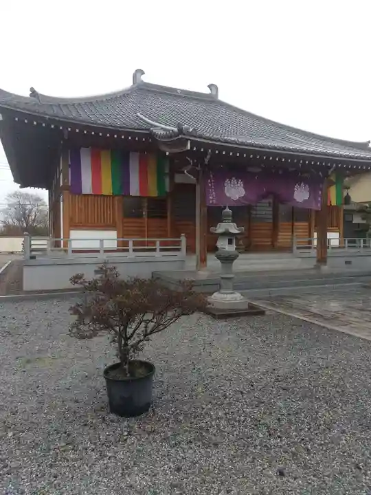 養性寺(埼玉県)