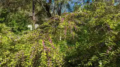 平野神社(京都府)