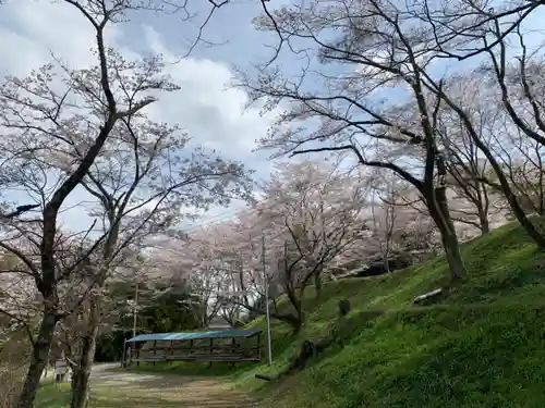 八幡神社の自然