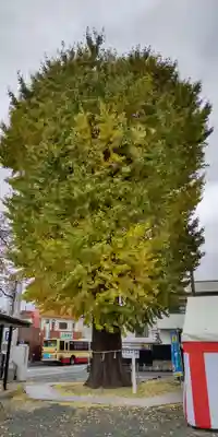 伊勢原大神宮(神奈川県)