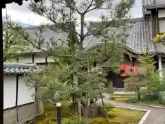 龍珠寺の自然