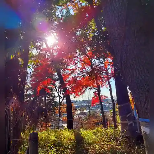 深大寺(東京都)