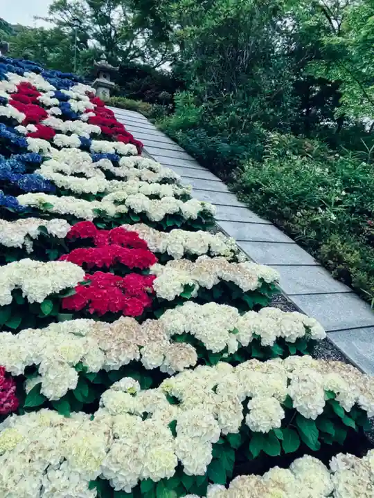 三室戸寺(京都府)