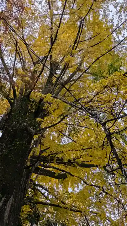 観音寺(山崎聖天)(京都府)