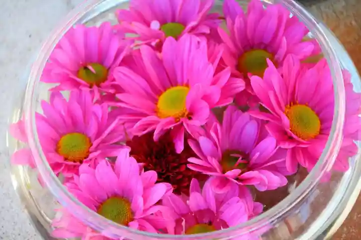 大鏑神社の手水舎