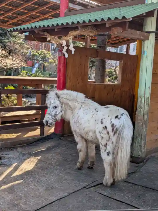 五方山熊野神社(東京都)