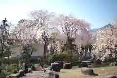 願成寺の建物その他