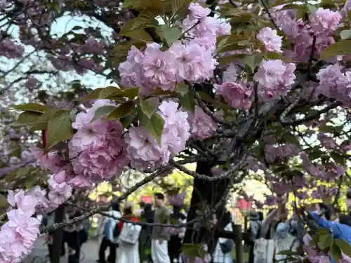 出会い不動の{uncategorized: "未分類", other: "その他", undefined: "問題あり", building: "その他建物", grave: "お墓", sacred_gate: "鳥居", guardian: "狛犬", statue: "像", buddha: "仏像", history: "歴史", nature: "自然", garden: "庭園", animal: "動物", pagoda: "塔", temizu: "手水舎", mountain_gate: "山門・神門", sanctuary: "本殿・本堂", subordinate: "末社・摂社", art: "芸術", scenery: "景色", jizo: "地蔵", ema: "絵馬", goshuin: "御朱印", omikuji: "おみくじ", items: "授与品その他", amulet: "お守り", goshuincho: "御朱印帳", eats: "食事", festival: "お祭り", votive_dance: "神楽", shichigosan: "七五三参", wedding: "結婚式", experience: "体験その他", initially: "初詣", around: "周辺", anti_infection: "感染症対策"}
