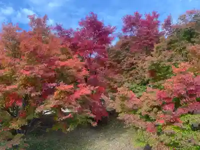 桂谷寺(兵庫県)