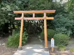 梅宮神社(埼玉県)