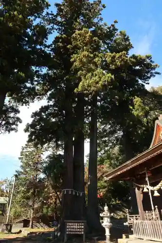 日枝神社(静岡県)