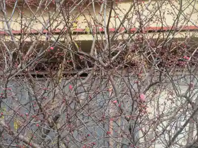 妙経寺(東京都)