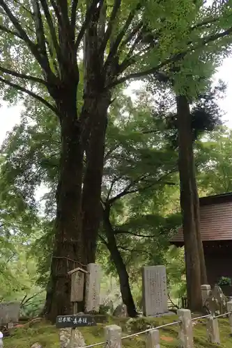 正法寺(滋賀県)