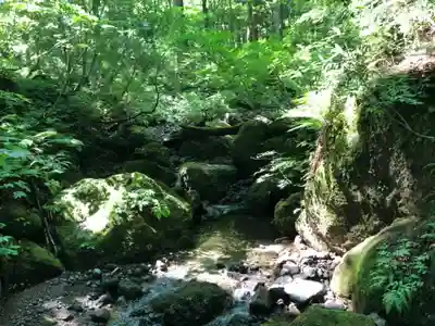 戸隠神社奥社(長野県)