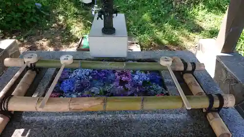 空知神社の手水