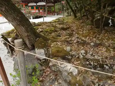 賀茂別雷神社（上賀茂神社）(京都府)
