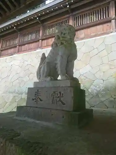 櫻山八幡宮の狛犬