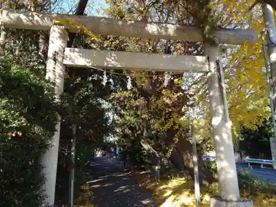 飯玉神社(群馬県)