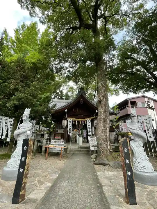 白金龍王社(愛知県)
