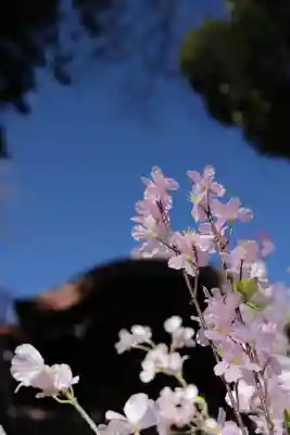 岩槻愛宕神社(埼玉県)