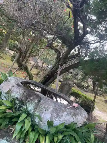 極楽寺の手水舎