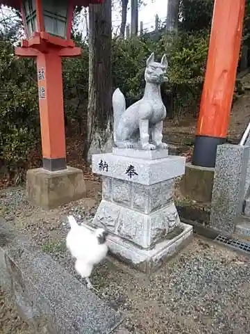 高屋敷稲荷神社の狛犬