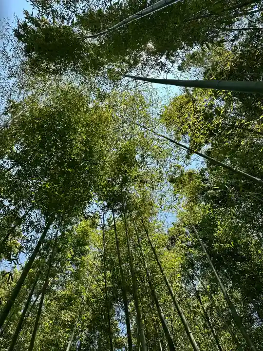 雲昌寺の{uncategorized: "未分類", other: "その他", undefined: "問題あり", building: "その他建物", grave: "お墓", sacred_gate: "鳥居", guardian: "狛犬", statue: "像", buddha: "仏像", history: "歴史", nature: "自然", garden: "庭園", animal: "動物", pagoda: "塔", temizu: "手水舎", mountain_gate: "山門・神門", sanctuary: "本殿・本堂", subordinate: "末社・摂社", art: "芸術", scenery: "景色", jizo: "地蔵", ema: "絵馬", goshuin: "御朱印", omikuji: "おみくじ", items: "授与品その他", amulet: "お守り", goshuincho: "御朱印帳", eats: "食事", festival: "お祭り", votive_dance: "神楽", shichigosan: "七五三参", wedding: "結婚式", experience: "体験その他", initially: "初詣", around: "周辺", anti_infection: "感染症対策"}