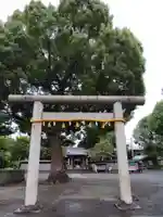 日吉浅間神社の鳥居